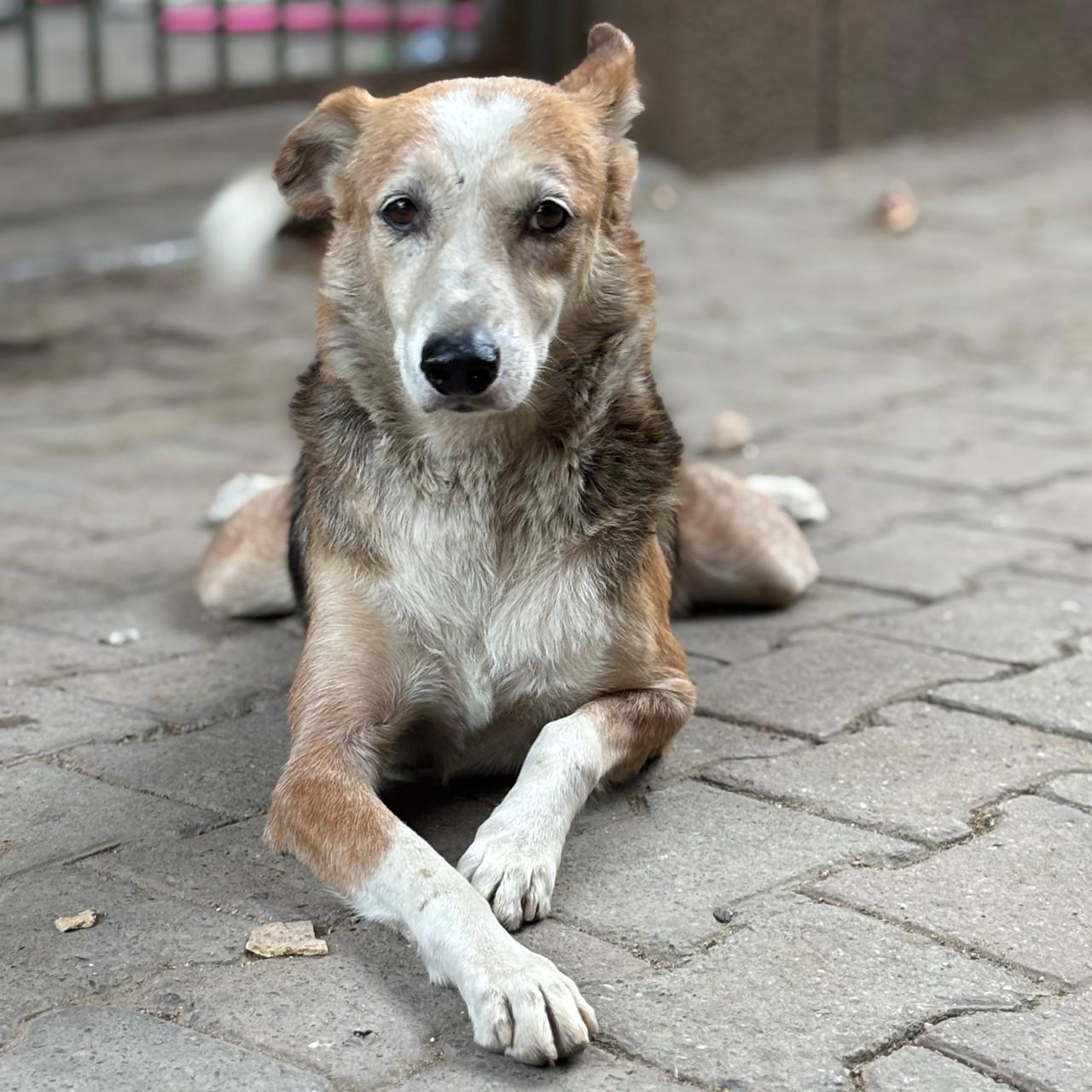 WhatsApp Image 2026-03-24 at 12.37.39 PM