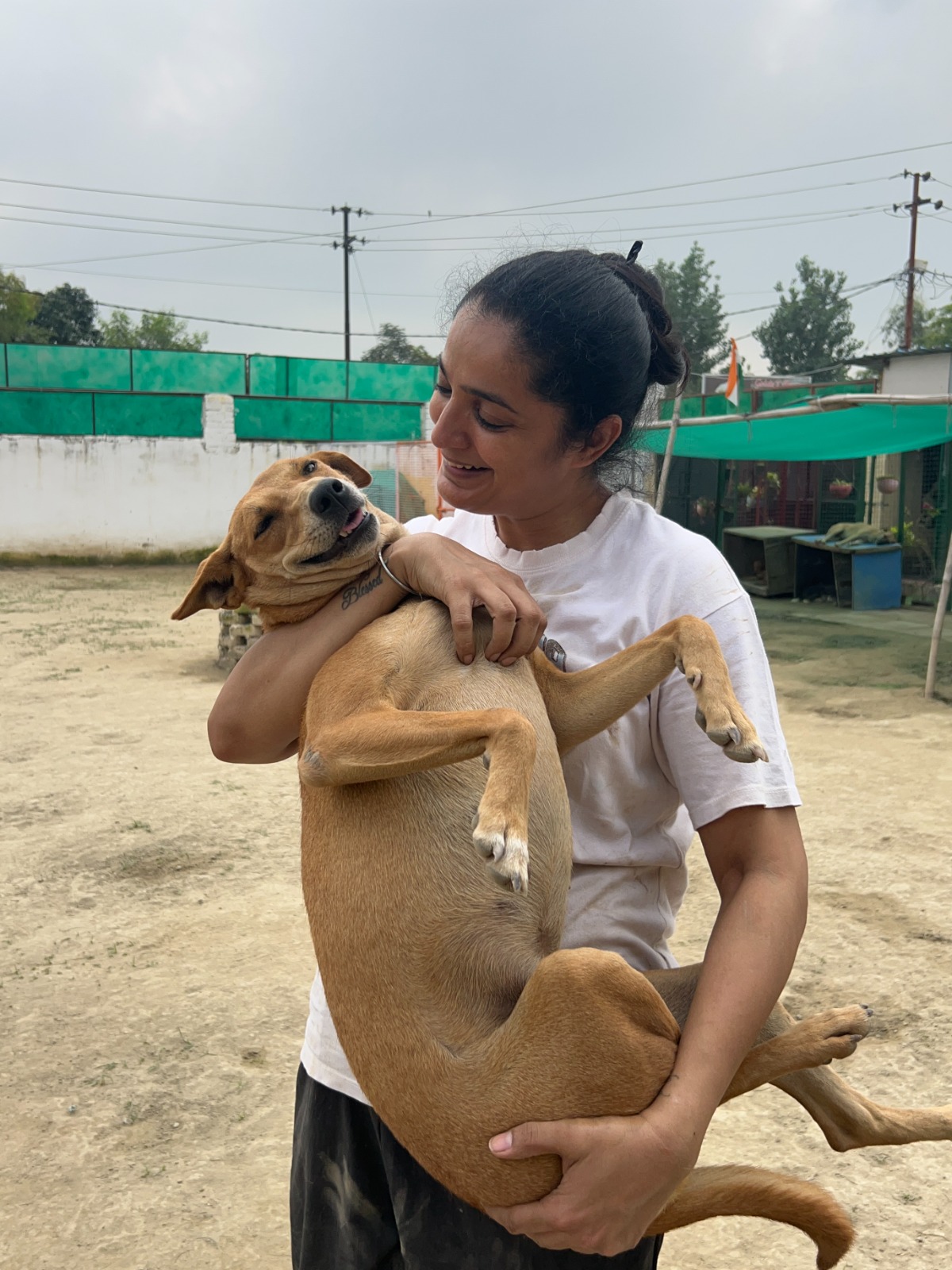 WhatsApp Image 2026-03-24 at 12.53.35 PM